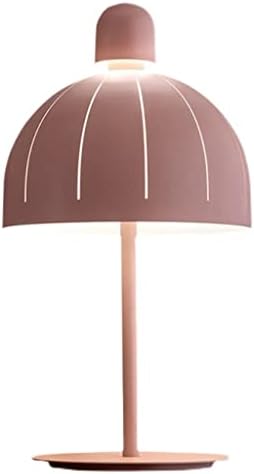 Telescope LED Desk Lamp with Metal Shade for Study and Reading