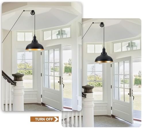 Black Pendant Light Hanging Lamp 2 Pack with Dimmer and Adjustable Pulley