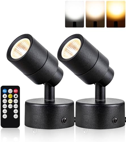 SUNVIE 2 Pack Dimmable LED Floor Spotlights with Timer and Remote Control