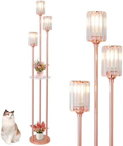 HMVPL Pink Floor Lamp with Shelves and Crystal Shade