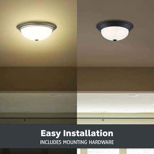 DESIGNERS FOUNTAIN Reedley 2-Light Flush Mount Ceiling Light