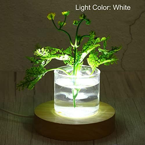 PATIKIL Round Wooden LED Light Base Stand with White Lights
