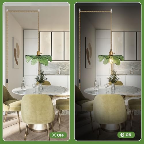 Plug in Pendant Light with Brass Base and Glass Shade