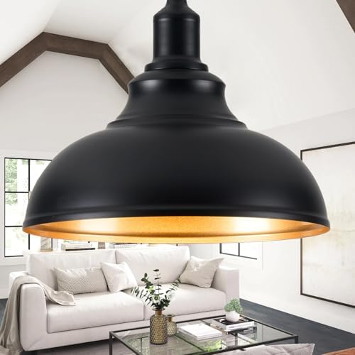 Black Pendant Light Hanging Lamp 2 Pack with Dimmer and Adjustable Pulley