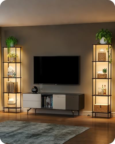 GOEBLESON 5-Tier Display Shelf with Light Floor Lamp