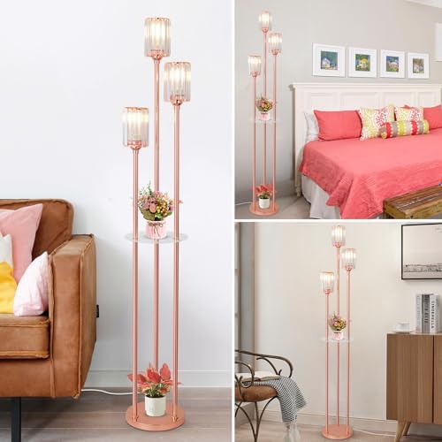 HMVPL Pink Floor Lamp with Shelves and Crystal Shade