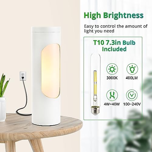 LEDIARY Shabbos Lamp with T10 Bulb - 2 Pack