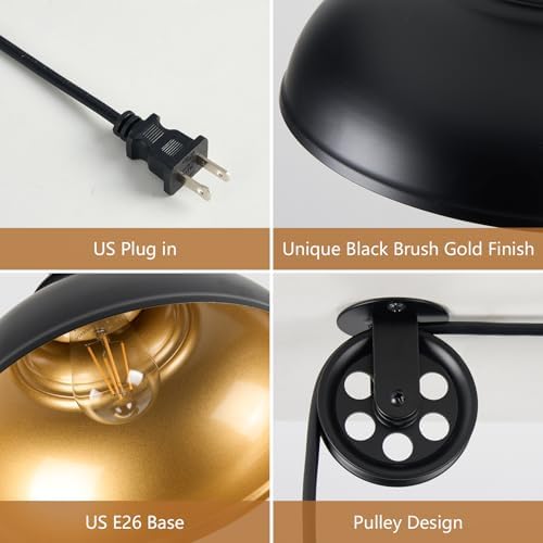 Black Pendant Light Hanging Lamp 2 Pack with Dimmer and Adjustable Pulley