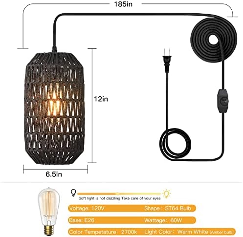 Dimmable Plug In Pendant Light with 15ft Black Cord