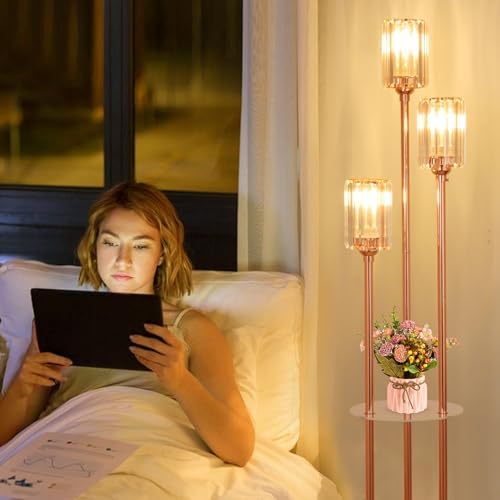 HMVPL Pink Floor Lamp with Shelves and Crystal Shade