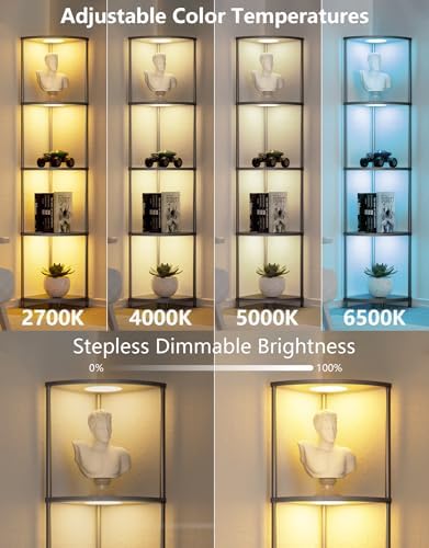 Corner Shelf with RGB LED Light Floor Lamp