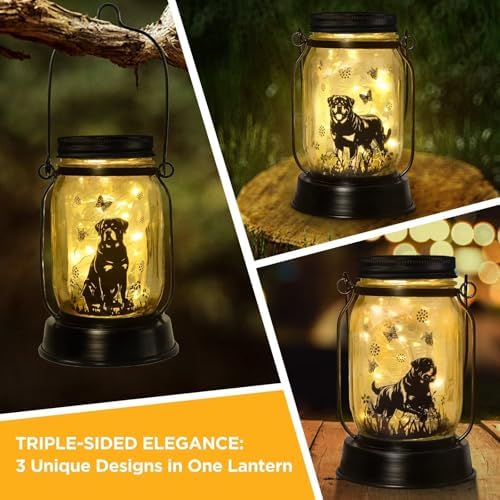 Kyoryuger Rottweiler Solar Lanterns for Women Men