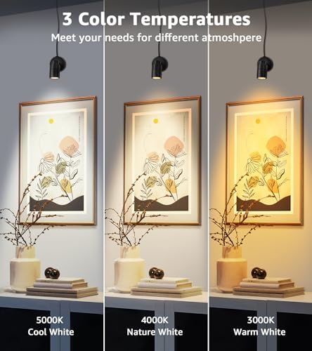 SUNVIE 2 Pack Dimmable LED Floor Spotlights with Timer and Remote Control