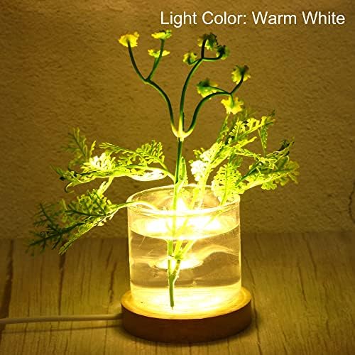 PATIKIL Wooden LED Light Base Stand with USB Power