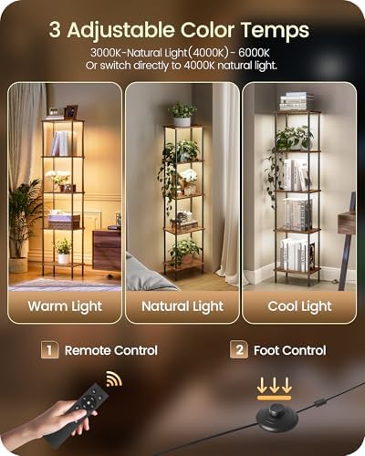 GOEBLESON 5-Tier Corner Shelf Lamp with Light