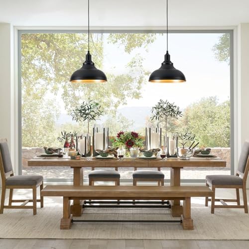 Black Pendant Light Hanging Lamp 2 Pack with Dimmer and Adjustable Pulley