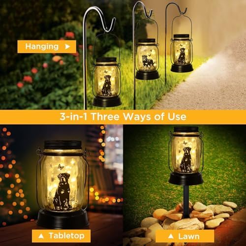 Kyoryuger Rottweiler Solar Lanterns for Women Men