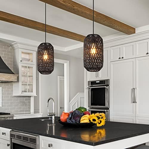 Dimmable Plug In Pendant Light with 15ft Black Cord