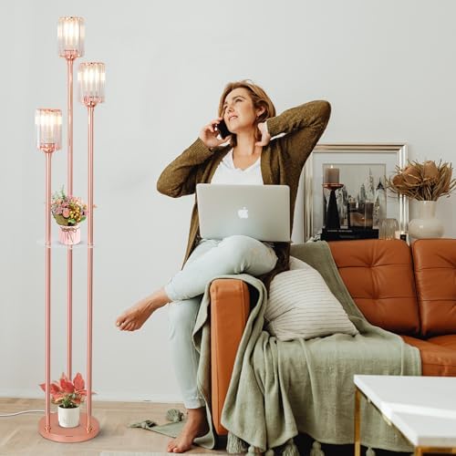 HMVPL Pink Floor Lamp with Shelves and Crystal Shade