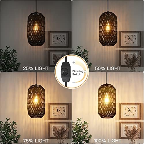 Dimmable Plug In Pendant Light with 15ft Black Cord