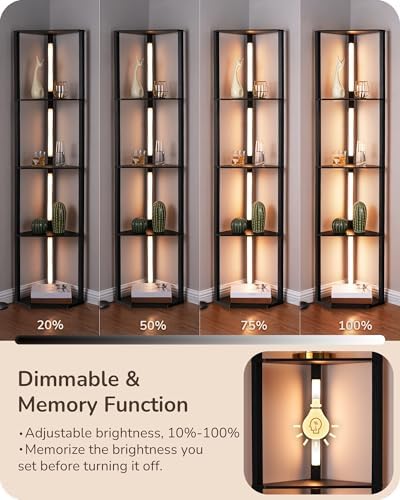 EDISHINE 64 Corner Display Shelf with Light